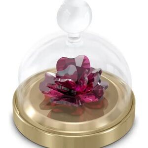 Swarovski bell jar roses new in box